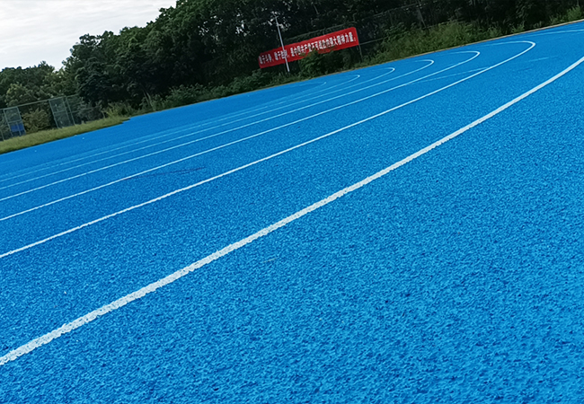 新国标全塑型塑胶跑道